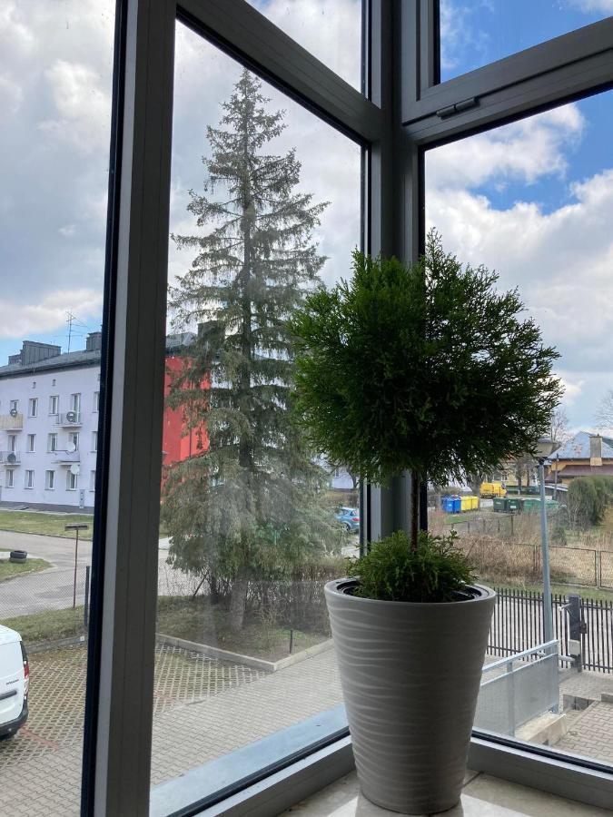 Apartament Miodowa 9 Zwierzyniec Buitenkant foto